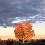 Beautiful fall Beautiful fall