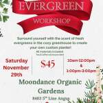 Interesting November, time of change