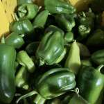 We Remember, Changing produce, Special events