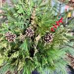 Evergreen Planter. Order now