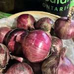 Big red onions