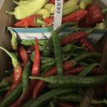 Hot peppers