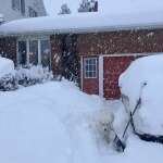 Clearing as it covers