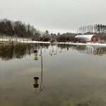 The difference a day makes