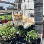 Greenhouse supervisor Greenhouse supervisor