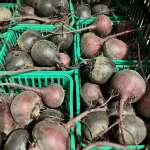 Topped beets Topped beets