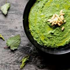 Nettle Recipes
