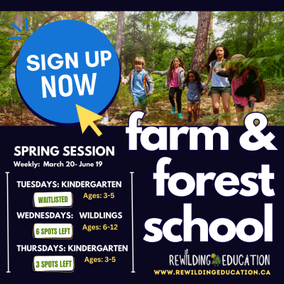 Farm & Forest School