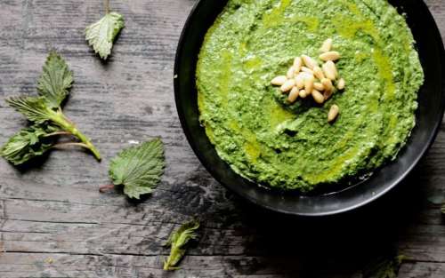 Nettle Pesto