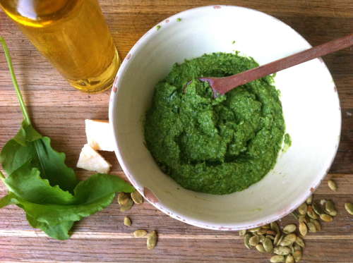 Sorrel Pesto