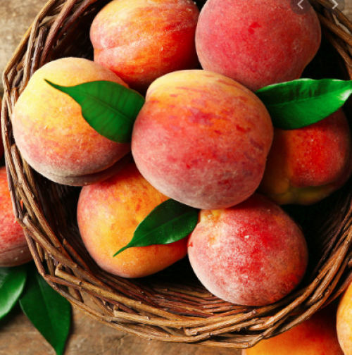 Fruit season and farm produce