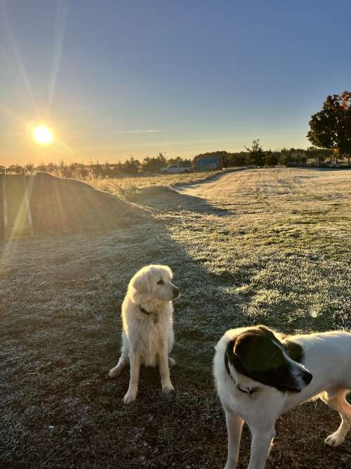 Happy Frosty Full Moon, Evergreen workshops and more