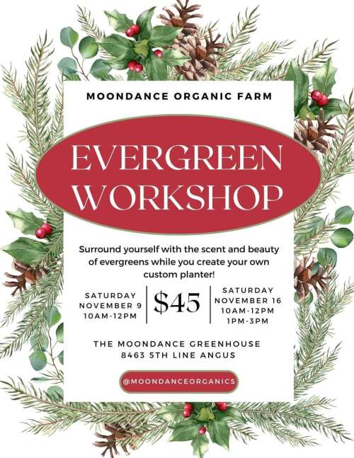 Evergreen Planter Workshop