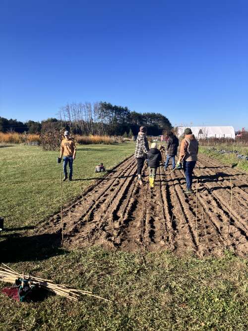 Happy all Hallows Eve, Produce sale