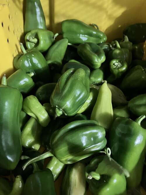 We Remember, Changing produce, Special events