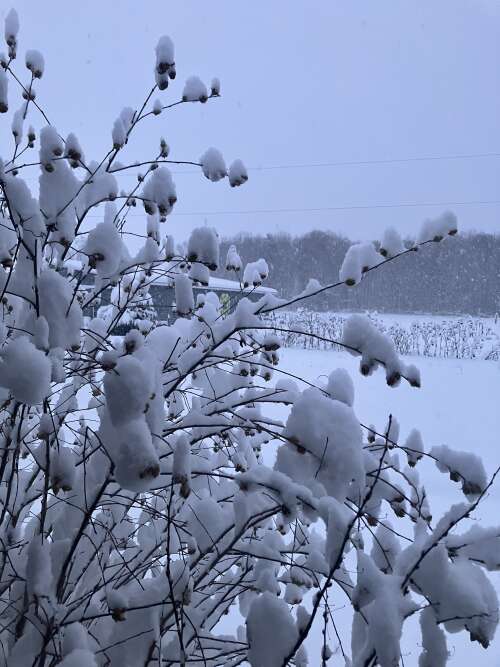 Snow time, the beauty and the challenge