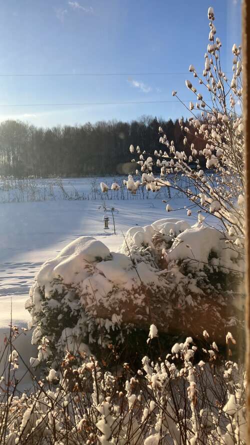 January weather, Honey, Eggs, Order for Sat.