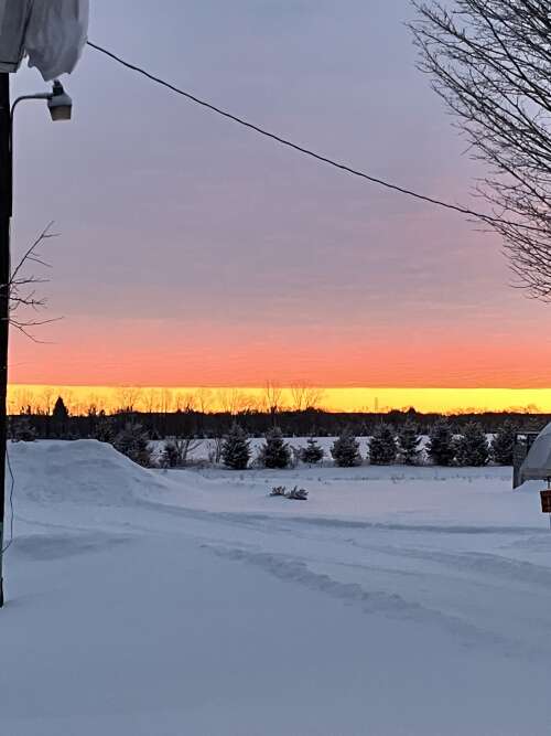 Finally February, eggs, potatoes, honey