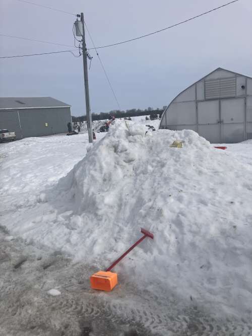 March on, Spring is coming