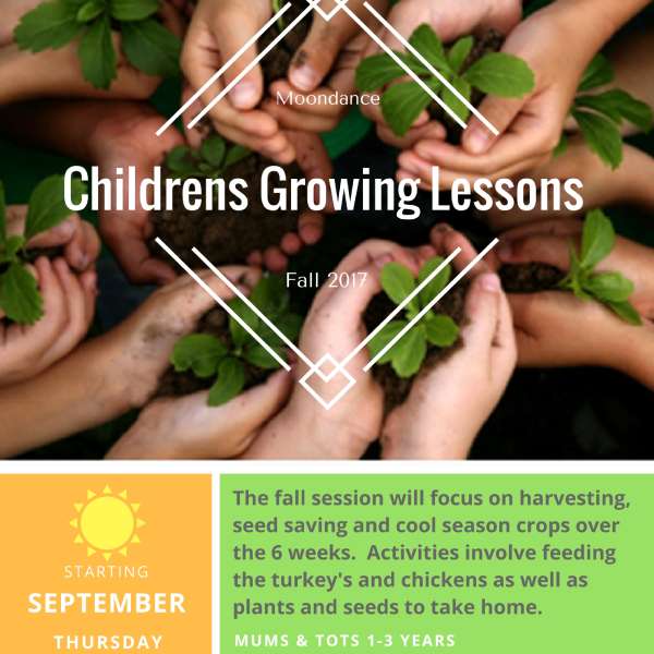 Fall Growing Lessons