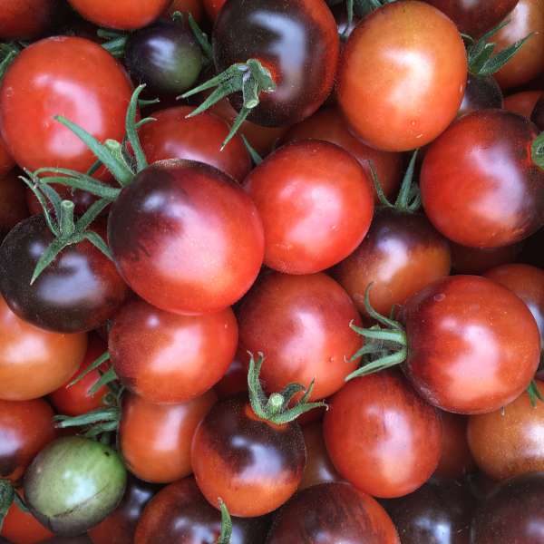 Tomatoes with flavour, Melons with sweetness, oh seasonal foods, how I love you!