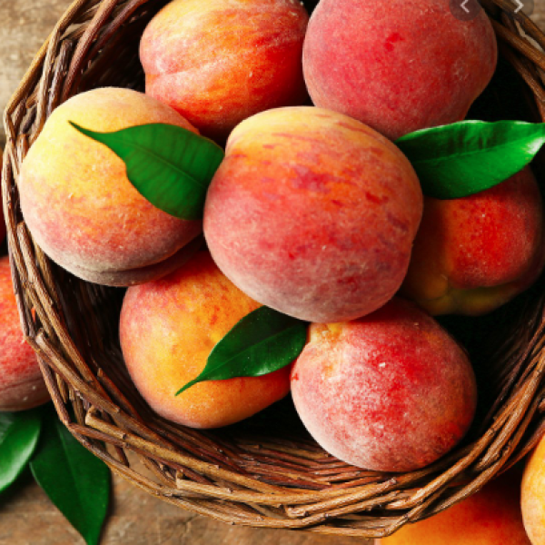 Fruit season and farm produce
