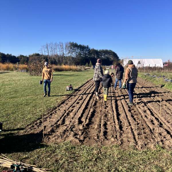 Happy all Hallows Eve, Produce sale