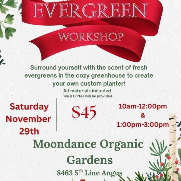 Interesting November, time of change