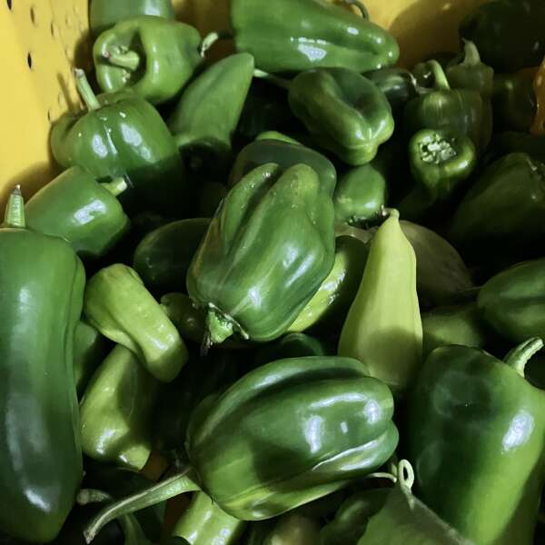 We Remember, Changing produce, Special events