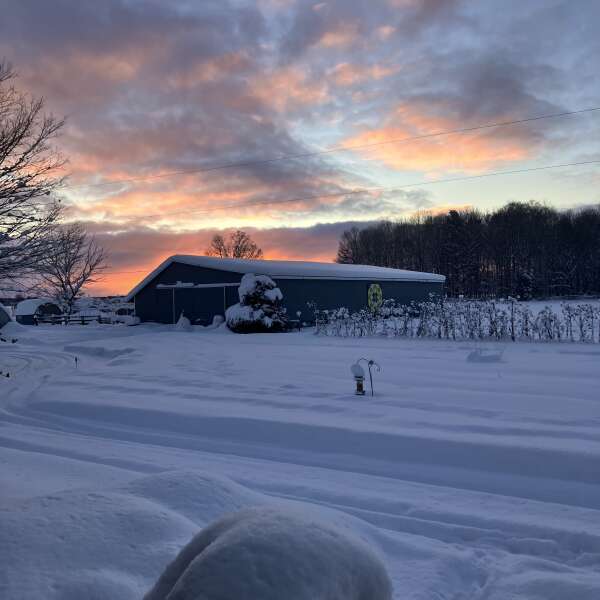 Winter Solstice, Happy Holidays