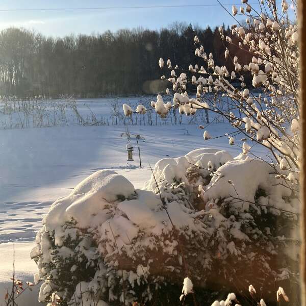 January weather, Honey, Eggs, Order for Sat.